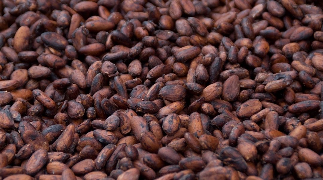 Chaud cacao pour le chocolat !
