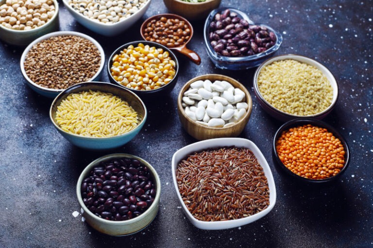 Protéines végétales vue globale article