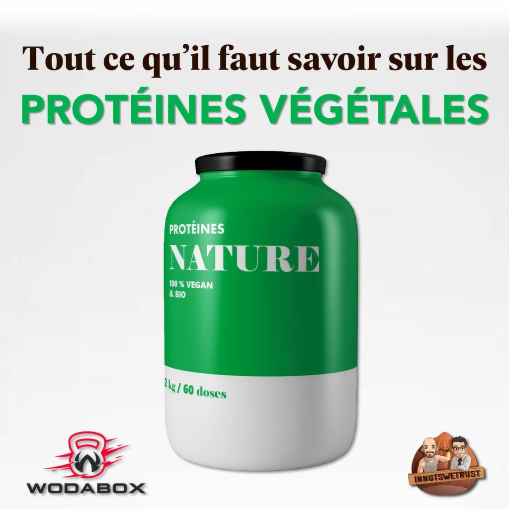 Infographie : protéines végétales Infographie : protéines végétales