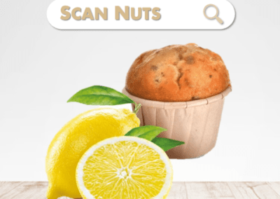 Enduractiv muffin citron bio