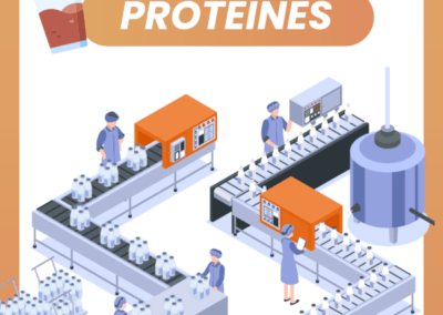 La fabrication des protéines en poudre dévoilée