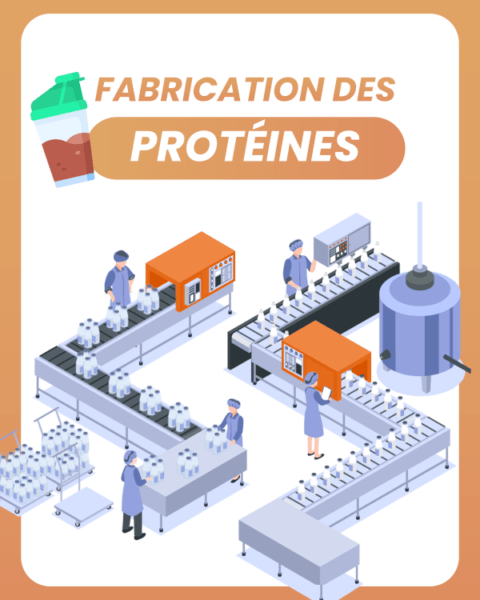 La fabrication des protéines en poudre dévoilée