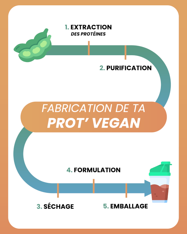 Fabrication des protéines vegan
