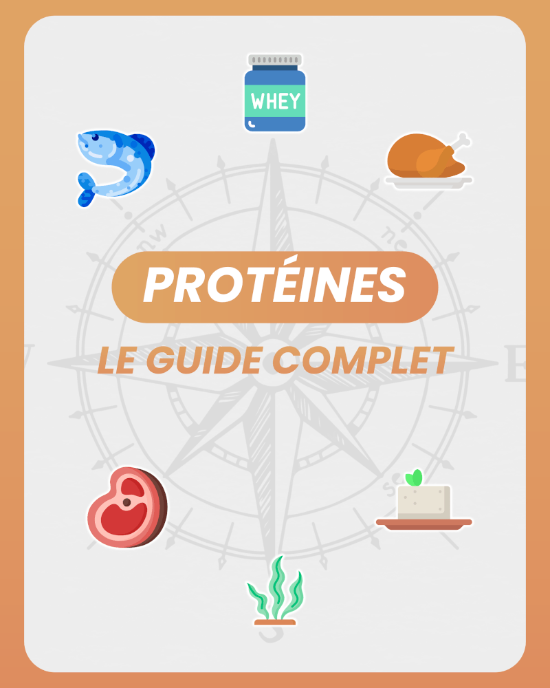 Guide complet des protéines