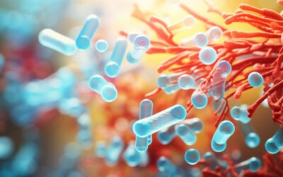 Probiotiques : simple tendance ou réelle efficacité ?