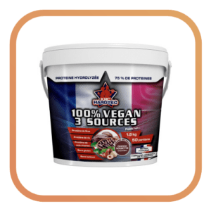PROTEINE VEGAN 3 SOURCES Choco Noisette