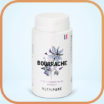 Bourrache