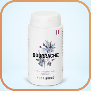 Bourrache