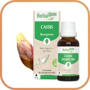 Concentré de bourgeon de Cassis