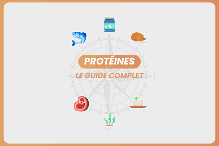 Guide ultime des protéines pour tout comprendre innutswetrust