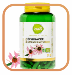 Échinacée Bio - Défenses naturelles