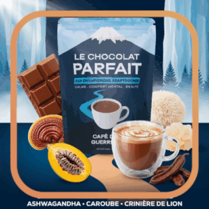 Le Chocolat Parfait