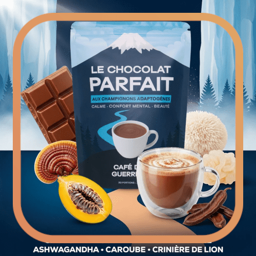 Le Chocolat Parfait