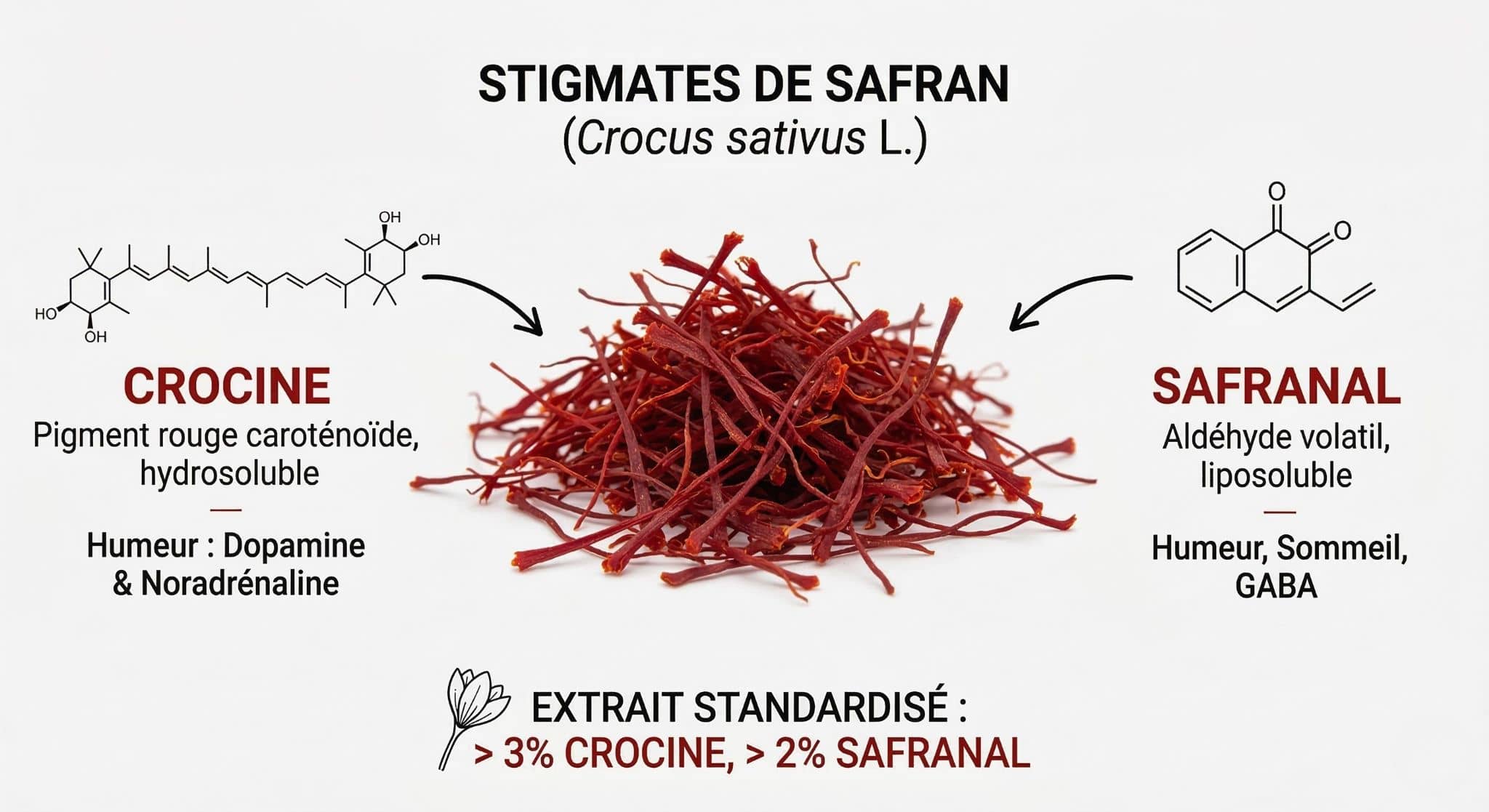 Stigmates de safran rouge