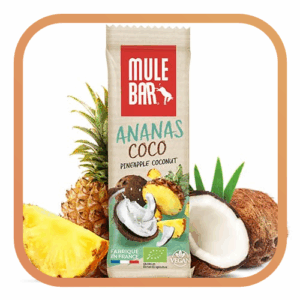Barre énergétique Ananas Coco baies de Goji