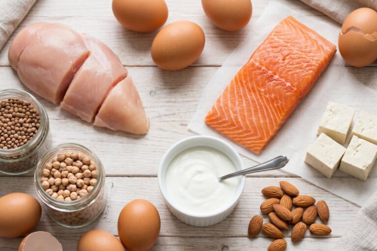 Aliments riches en protéines